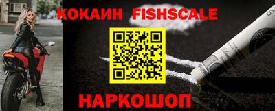 крисы Краснознаменск