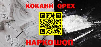 крисы Краснознаменск