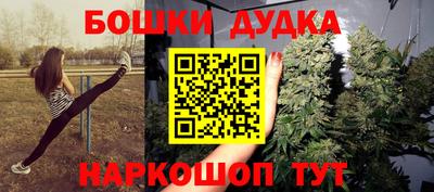 крисы Краснознаменск