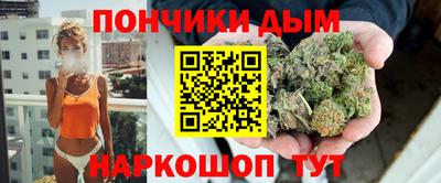 крисы Краснознаменск