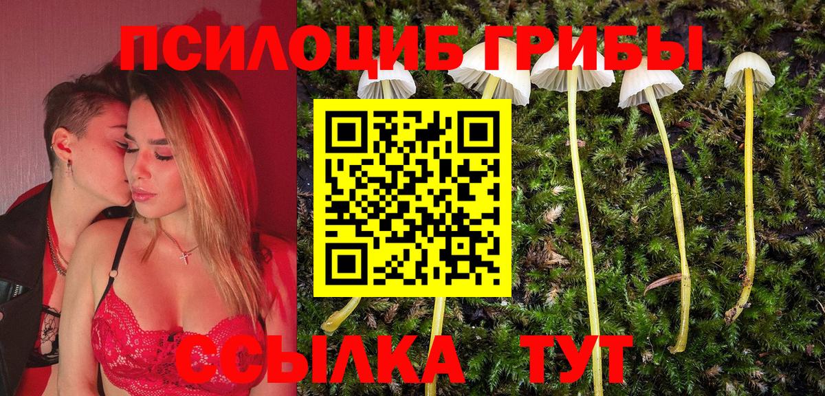 Псилоцибиновые грибы Cubensis  Вход с VPN  Щёлково 