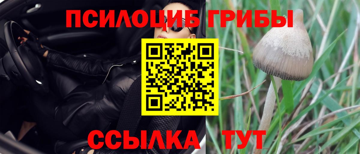 Псилоцибиновые грибы MAGIC MUSHROOMS Щёлково